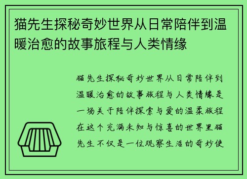 猫先生探秘奇妙世界从日常陪伴到温暖治愈的故事旅程与人类情缘